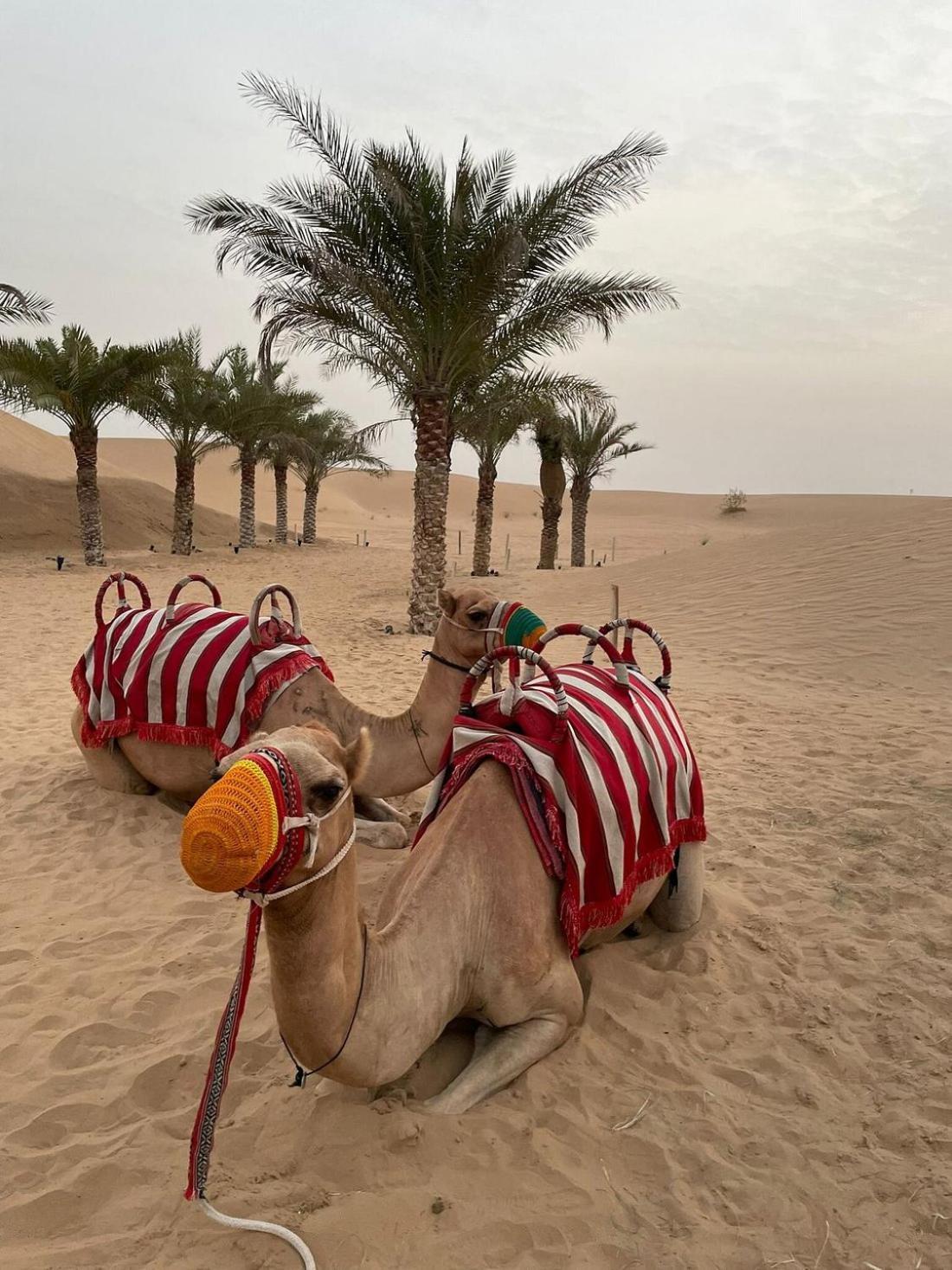 Al Khayma Camp "Elite Glamping & Dining In Experience" 호텔 Hunaywah 외부 사진